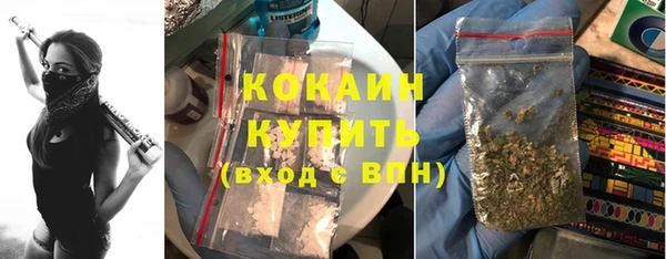 сатива Балахна
